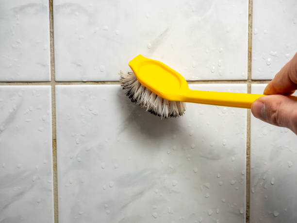 Mold Removal and Inspection in Conyers, GA