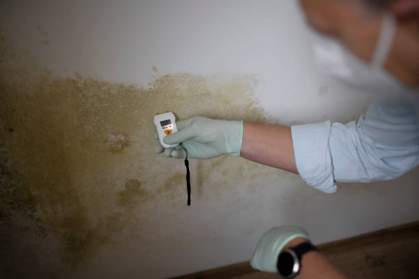 Best Mold Damage Repair  in Conyers, GA