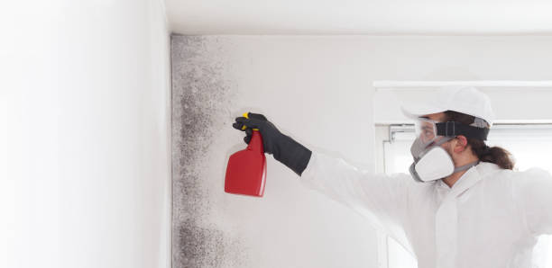 Best Professional Mold Removal  in Conyers, GA