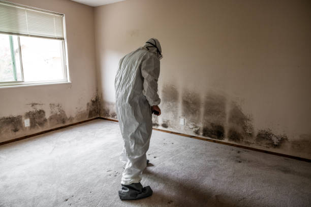 Best Emergency Mold Removal  in Conyers, GA